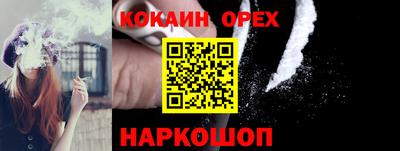 индика Нальчик