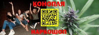 индика Нальчик