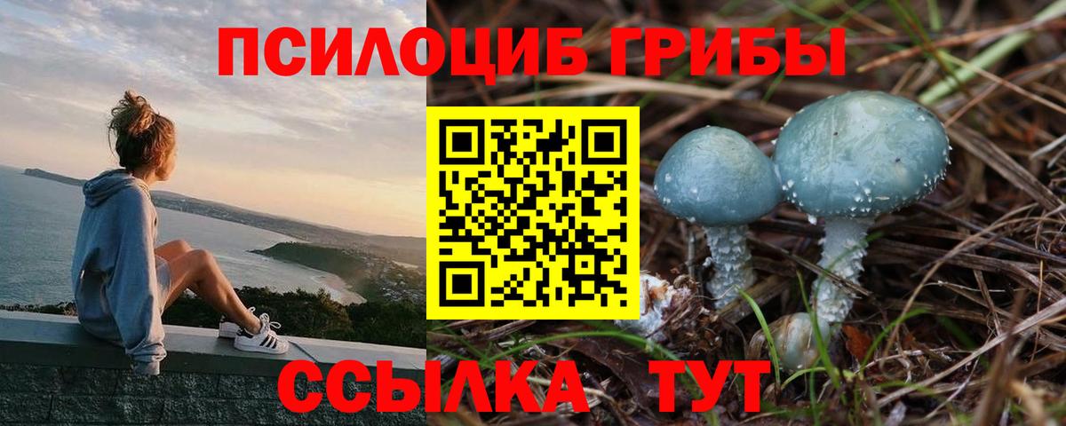 Галлюциногенные грибы MAGIC MUSHROOMS Усолье-Сибирское